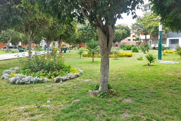 vivir frente al parque